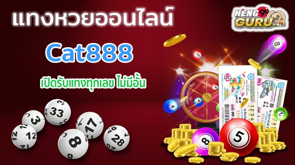 Cat888 -"lottery"