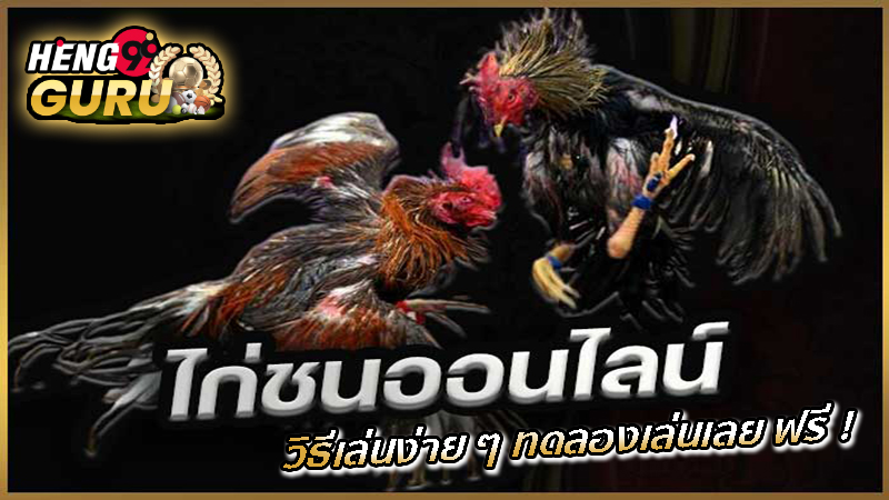 เกมไก่ชน -"cockfighting game"