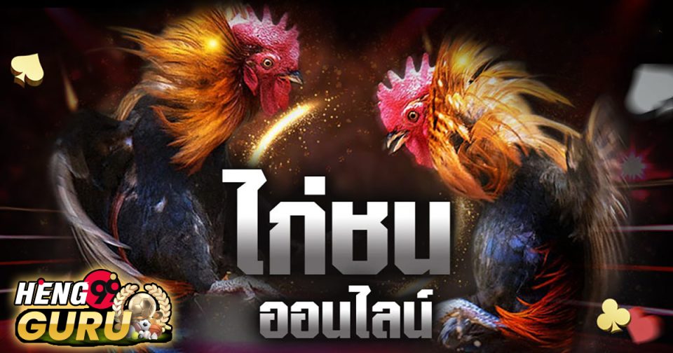 เกมไก่ชน -"game"